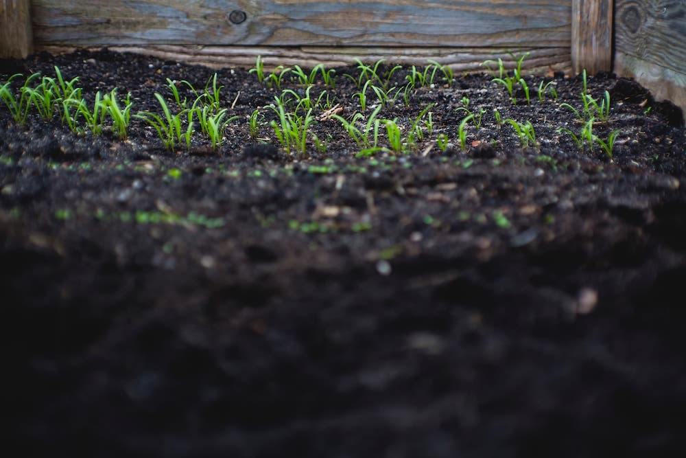 agricultural planning consultants